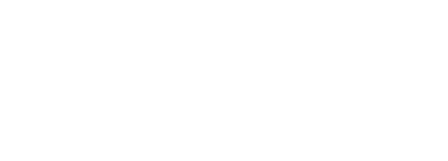 SLOT DANA logo